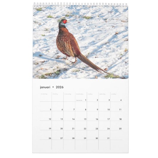 Calendrier Ajuster les oiseaux hollandais Calender (Jan 2026)