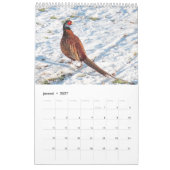 Calendrier Ajuster les oiseaux hollandais Calender (Jan 2027)