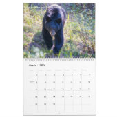 Calendrier Alberta, Canada - Parc national Banff-Jasper (Mar 2026)