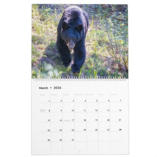 Calendrier Alberta, Canada - Parc national Banff-Jasper (Mar 2026)