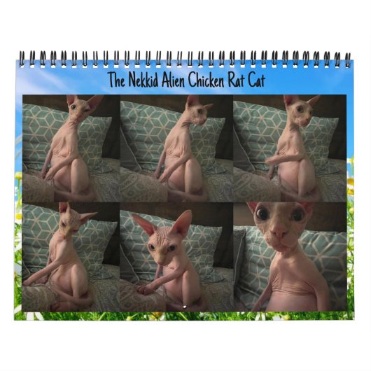 Calendrier Alien Nekkid 2024 (Protection)