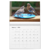 Calendrier Alimentation des oiseaux bleus (Feb 2026)