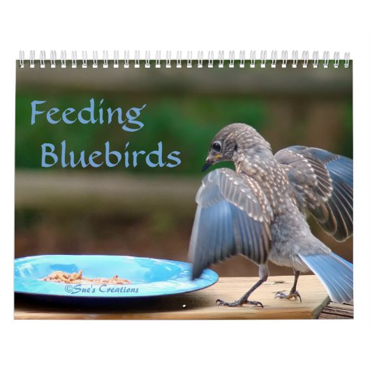 Calendrier Alimentation des oiseaux bleus (Protection)