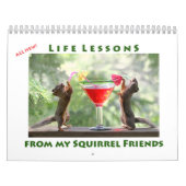 Calendrier All Star Squirrel Calendar - New Life Lessons (Protection)