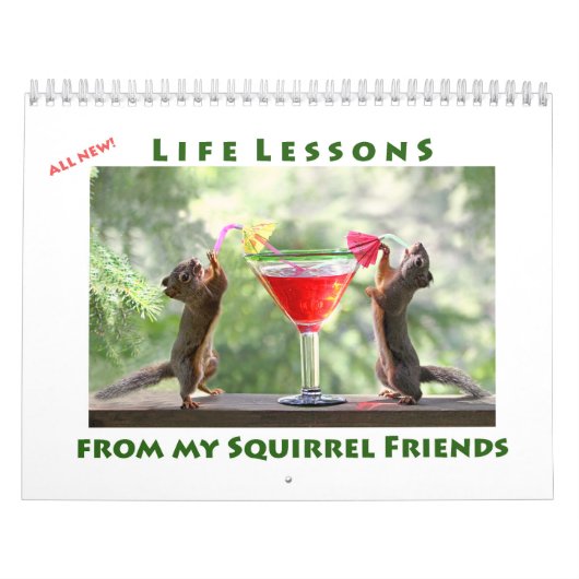 Calendrier All Star Squirrel Calendar - New Life Lessons (Protection)