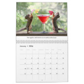 Calendrier All Star Squirrel Calendar - New Life Lessons (Jan 2026)