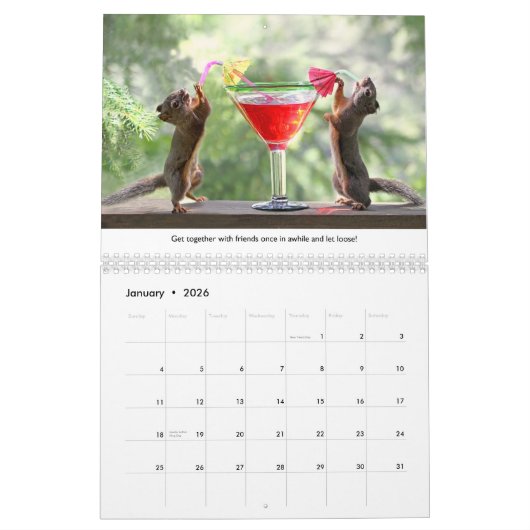 Calendrier All Star Squirrel Calendar - New Life Lessons (Jan 2026)