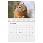 Calendrier All Star Squirrel Calendar - New Life Lessons (Mar 2027)