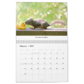 Calendrier All Star Squirrel Calendar - New Life Lessons (Feb 2027)