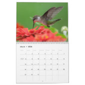 Calendrier All the Buzz 2026 Calendar (Mar 2026)