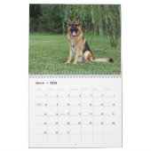 Calendrier allemand des Chiens de Berger et Chiots (Mar 2026)