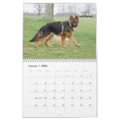 Calendrier allemand des Chiens de Berger et Chiots (Jan 2026)