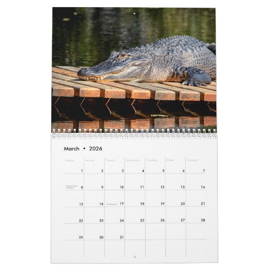 Calendrier Alligators dans la nature 2026 (Mar 2026)