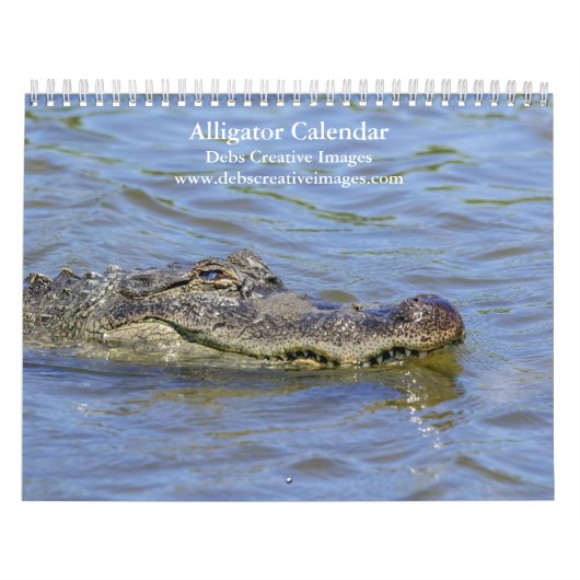 Calendrier Alligators dans la nature 2026 (Protection)
