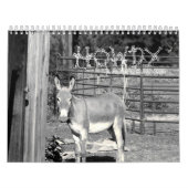 CALENDRIER ALLO (Protection)