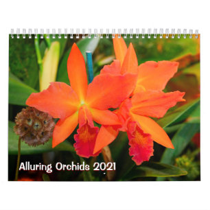 Calendrier Alluring Orchids 2021