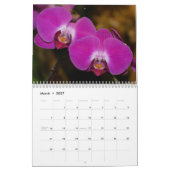 Calendrier Alluring Orchids 2021 (Mar 2027)