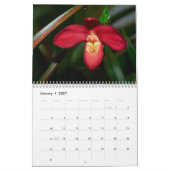 Calendrier Alluring Orchids 2021 (Jan 2027)