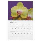 Calendrier Alluring Orchids 2021 (Feb 2027)