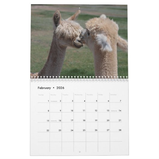 Calendrier Alpaca 2021 (Feb 2026)