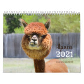 Calendrier Alpaca 2021 (Protection)