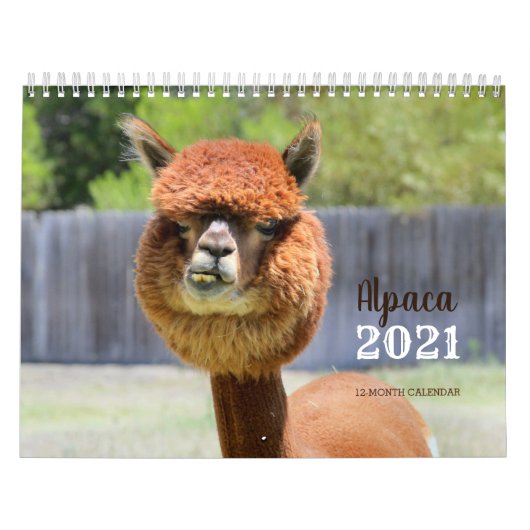 Calendrier Alpaca 2021 (Protection)