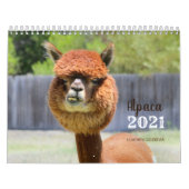 Calendrier Alpaca 2021 (Protection)