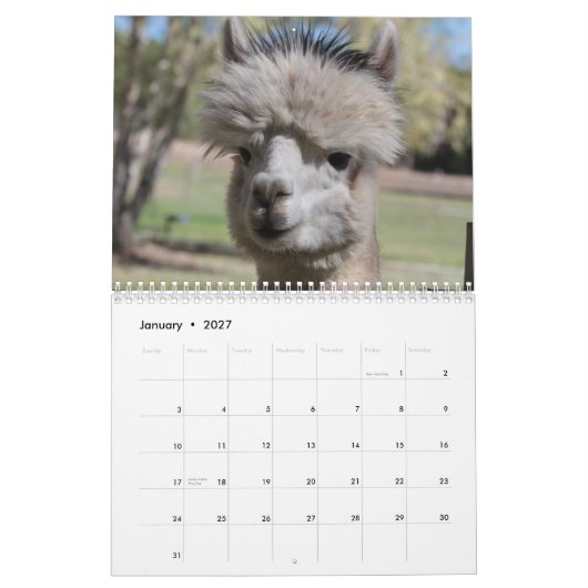 Calendrier Alpaca 2021 (Jan 2027)