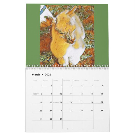 Calendrier Alpaca 2022 (Mar 2026)