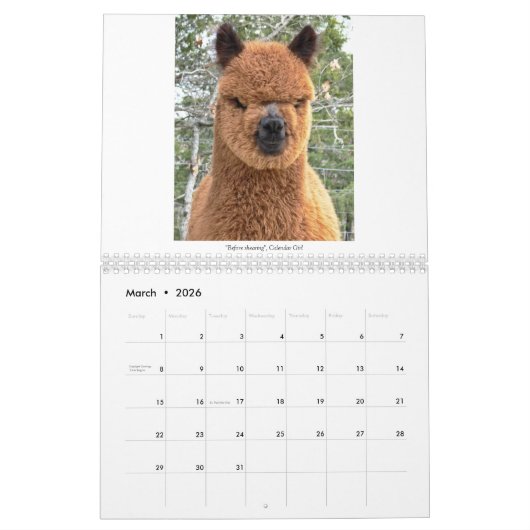 Calendrier Alpaca 2023 (Mar 2026)