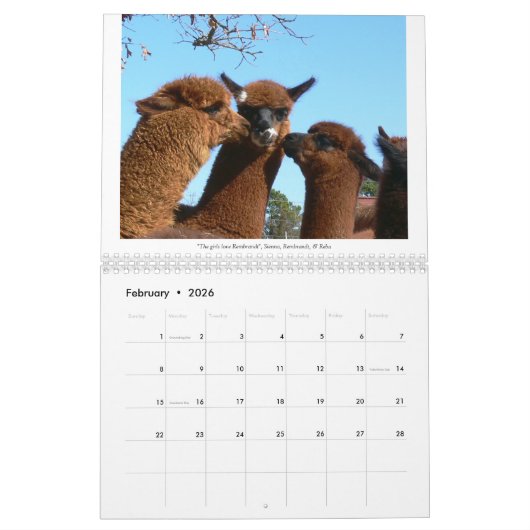 Calendrier Alpaca 2023 (Feb 2026)