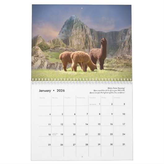 Calendrier Alpaca 2023 (Jan 2026)
