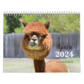 Calendrier Alpaca 2024 (Protection)