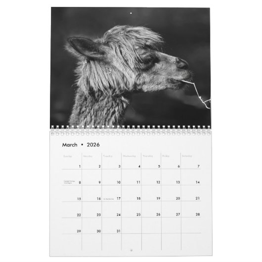 Calendrier Alpaca 2025 (Mar 2026)