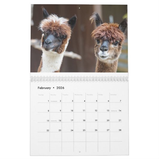 Calendrier Alpaca 2025 (Feb 2026)