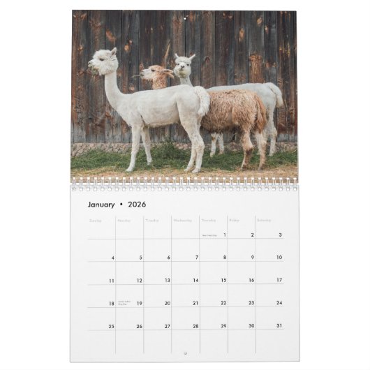 Calendrier Alpaca 2025 (Jan 2026)