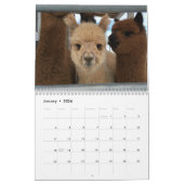 Calendrier Alpaca 2025 par Hello Bluebirds (Jan 2026)