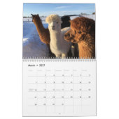 Calendrier Alpaca 2025 par Hello Bluebirds (Mar 2027)