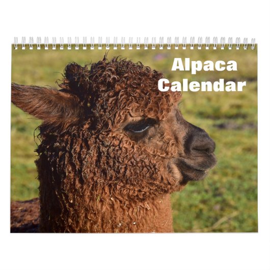 Calendrier Alpaca 2027 (Protection)