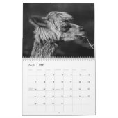 Calendrier Alpaca 2027 (Mar 2027)