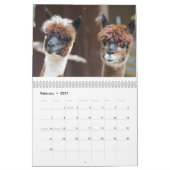 Calendrier Alpaca 2027 (Feb 2027)