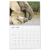 Calendrier Amateurs d'éléphants, photos couleur d'éléphants (Mar 2026)