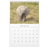 Calendrier Amboseli Trust pour le baby-boom des éléphants (Feb 2026)