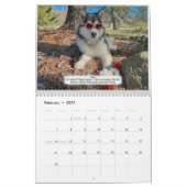 Calendrier AMCA 2024 (Feb 2027)