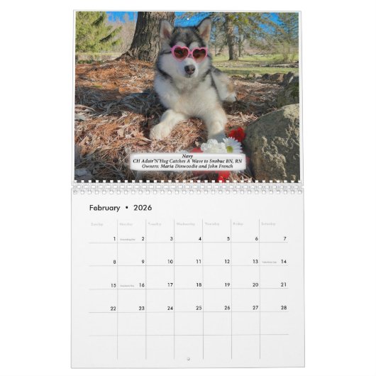 Calendrier AMCA 2024 (Feb 2026)