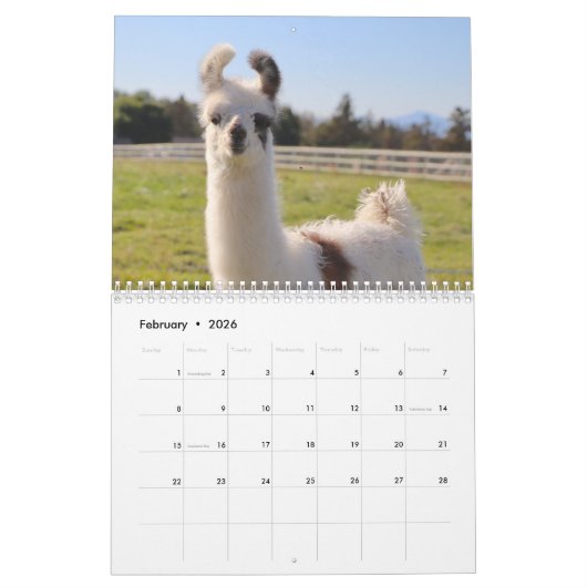 Calendrier américain Llama 2024 (Feb 2026)