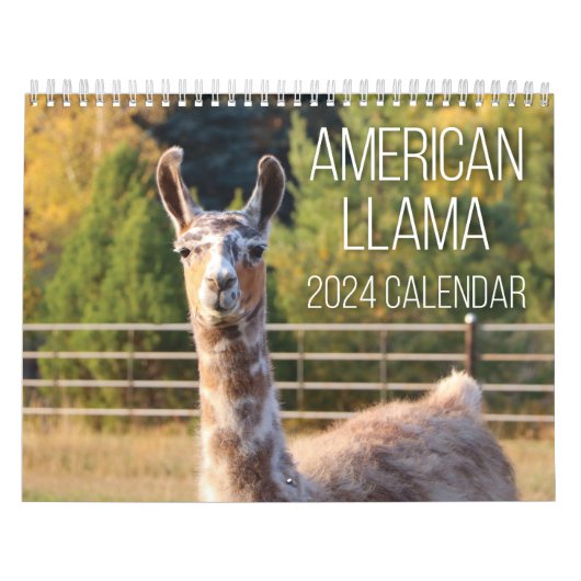 Calendrier américain Llama 2024 (Protection)