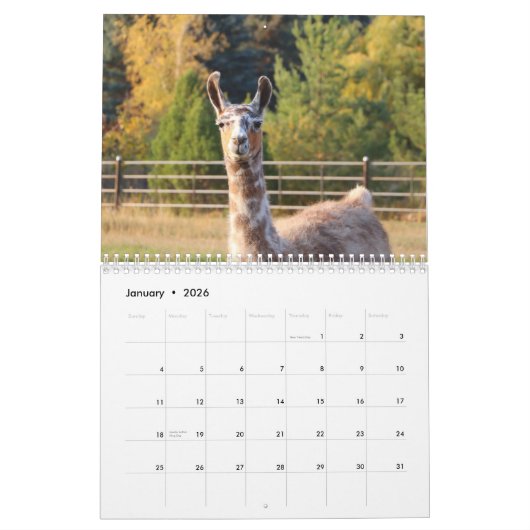 Calendrier américain Llama 2024 (Jan 2026)