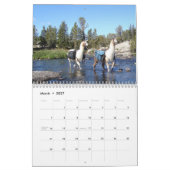 Calendrier américain Llama 2024 (Mar 2027)