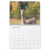 Calendrier américain Llama 2024 (Jan 2027)